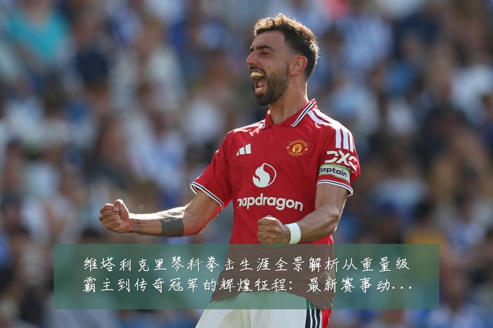 维塔利克里琴科拳击生涯全景解析从重量级霸主到传奇冠军的辉煌征程:最新赛事动态与深度分析